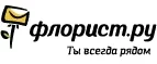 Флорист.ру: Магазины цветов Нальчика: официальные сайты, адреса, акции и скидки, недорогие букеты